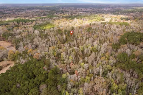0 Phillips Rd, Sumrall, MS 39482 photo 15
