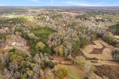 0 Phillips Rd, Sumrall, MS 39482 photo 17