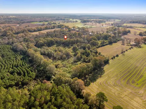000 E Bond Rd, Wiggins, MS 39577 photo 4