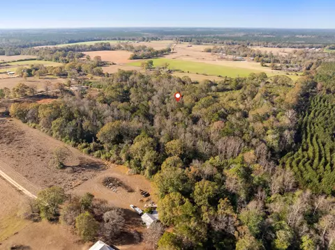 000 E Bond Rd, Wiggins, MS 39577 photo 8