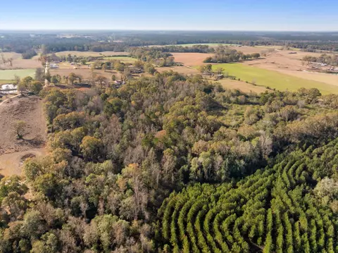 000 E Bond Rd, Wiggins, MS 39577 photo 7