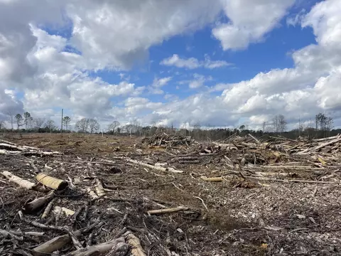 lot6 Ebenezer Rd, Columbia, MS 39429