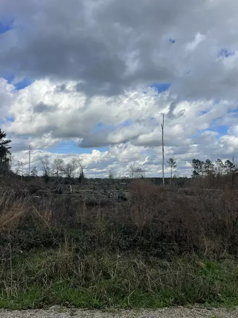 lot5 Sinclair Rd, Columbia, MS 39429