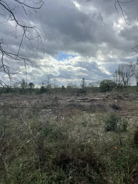 lot3 Sinclair Rd, Columbia, MS 39429