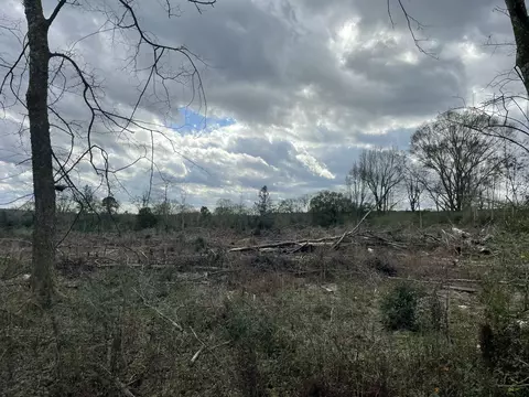 lot4 Sinclair Rd, Columbia, MS 39429