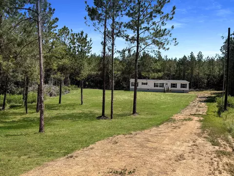 108 Brumley Ln, Mize, MS 39116