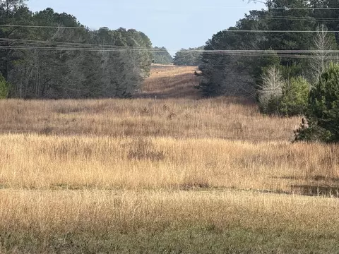 0 Cooper Rd Hwy 13, Columbia, MS 39429