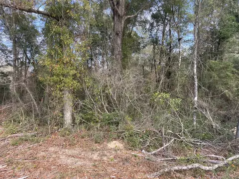 tbd Mccain, Foxworth, MS 39483 photo 3