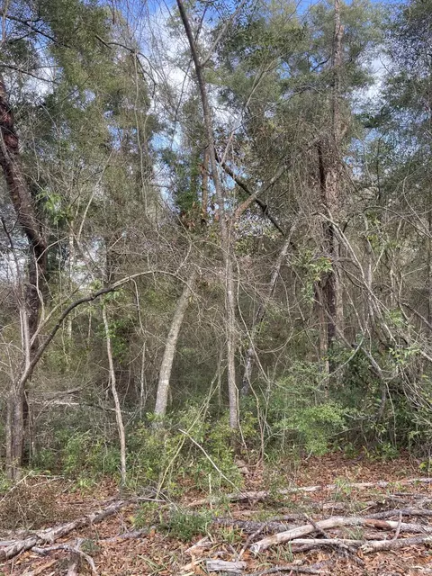 tbd Mccain, Foxworth, MS 39483 photo 7