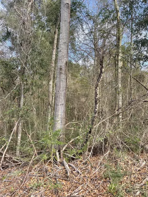 tbd Mccain, Foxworth, MS 39483 photo 5