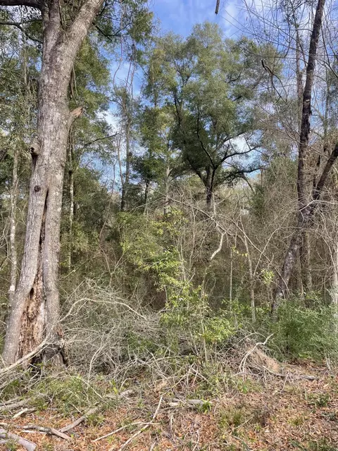 tbd Mccain, Foxworth, MS 39483 photo 2