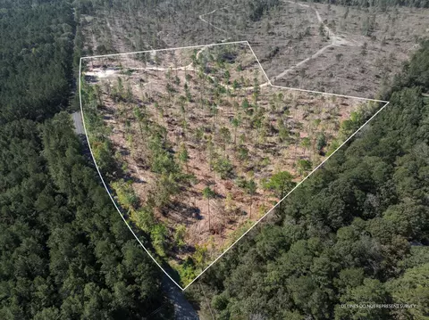 16 36 - Acres Noel Townsend Rd, Seminary, MS 39429