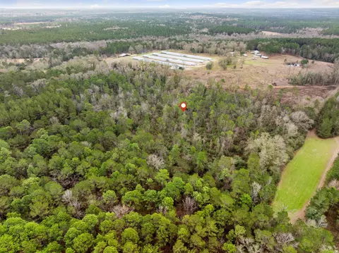 tbd Moonshadow Ln, Sumrall, MS 39482 photo 10