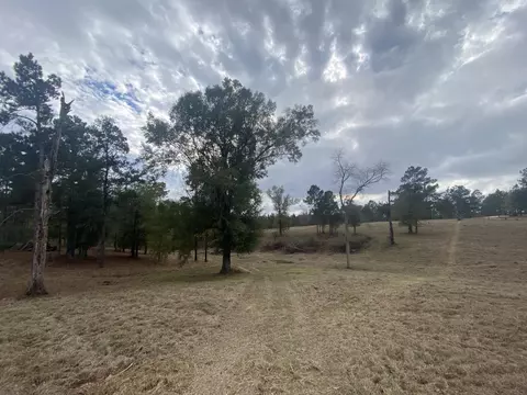 35 Acres Tatum Salt Dome Rd, Lumberton, MS 39455