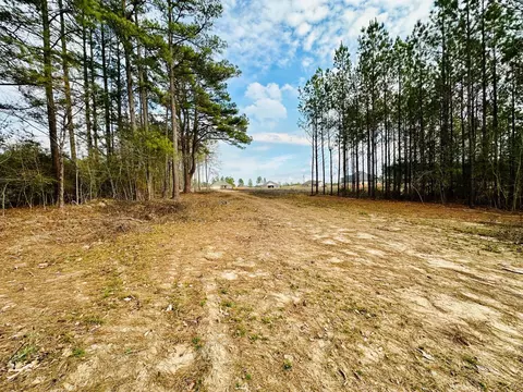 79 Bates Ave, Purvis, MS 39475 photo 9