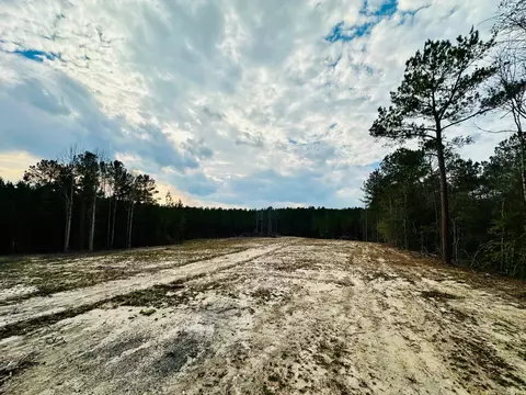 79 Bates Ave, Purvis, MS 39475 photo 5