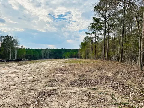 79 Bates Ave, Purvis, MS 39475 photo 10