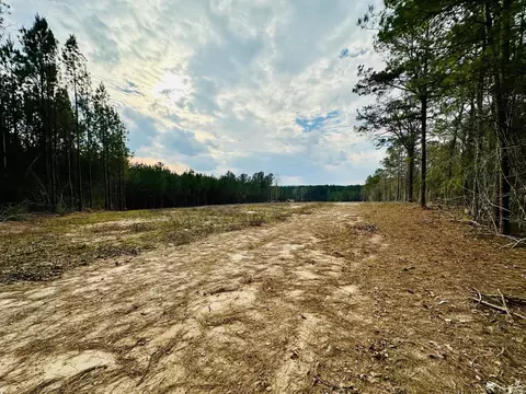 79 Bates Ave, Purvis, MS 39475 photo 11