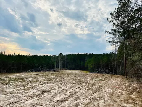 79 Bates Ave, Purvis, MS 39475 photo 8