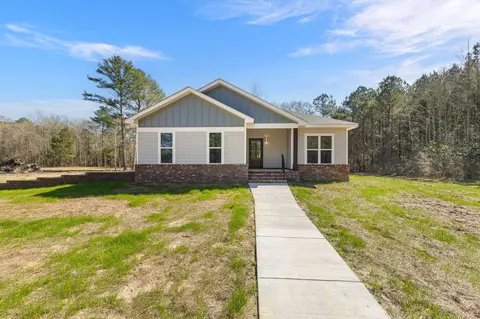 534 R V Lindley Rd, Moselle, MS 39459