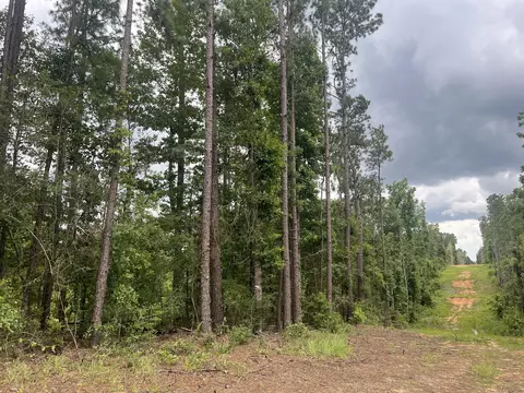 7 Lawler Road, Lumberton, MS 39455