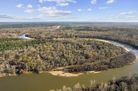 12 5 Acres Marion Co, Sandy Hook, MS 39478 photo 8