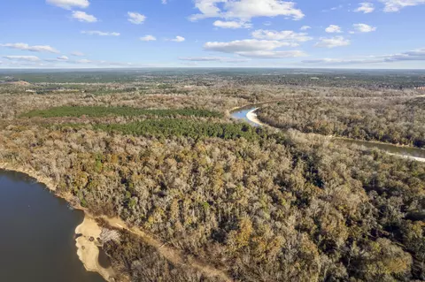 12 5 Acres Marion Co, Sandy Hook, MS 39478 photo 7