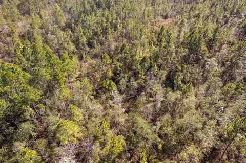 301 Woods Rd, Mclain, MS 39456 photo 7