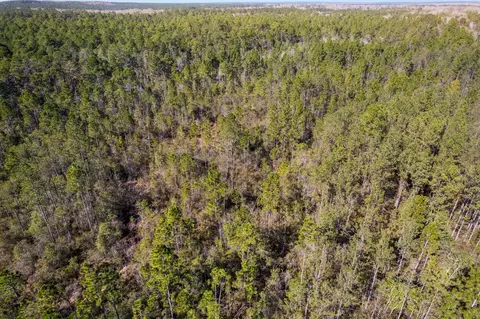 301 Woods Rd, Mclain, MS 39456 photo 9