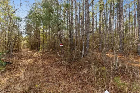 301 Woods Rd, Mclain, MS 39456 photo 2