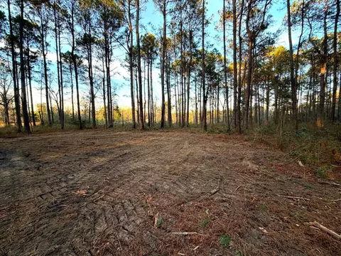 12 1 Acres Evans Rd, Poplarville, MS 39470