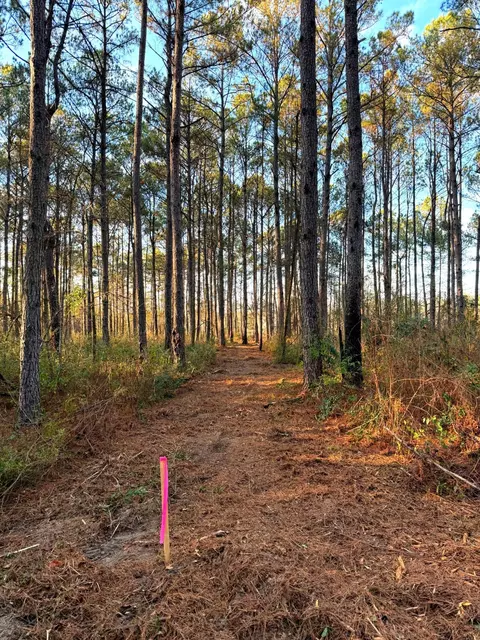 13 6 Acres Springhill Rd, Poplarville, MS 39470
