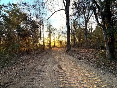 18 Acres Springhill Rd, Poplarville, MS 39470