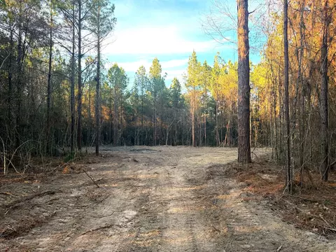 20 Acres Springhill Rd, Poplarville, MS 39470