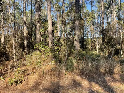 tbd W Hinds, Bay St. Louis, MS 39520