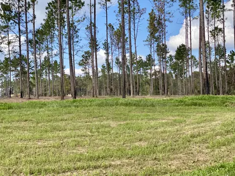 5 71 Ac Mcbriar #LOT 7, Purvis, MS 39475 photo 2