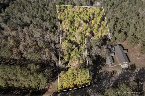 3 01 - Acres Old Okahola School Rd, Purvis, MS 39475