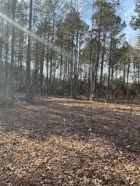 01 A Pittman Rd, Sandy Hook, MS 39478 photo 2
