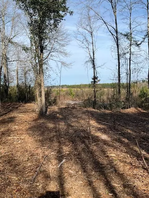 01 A Pittman Rd, Sandy Hook, MS 39478 photo 5