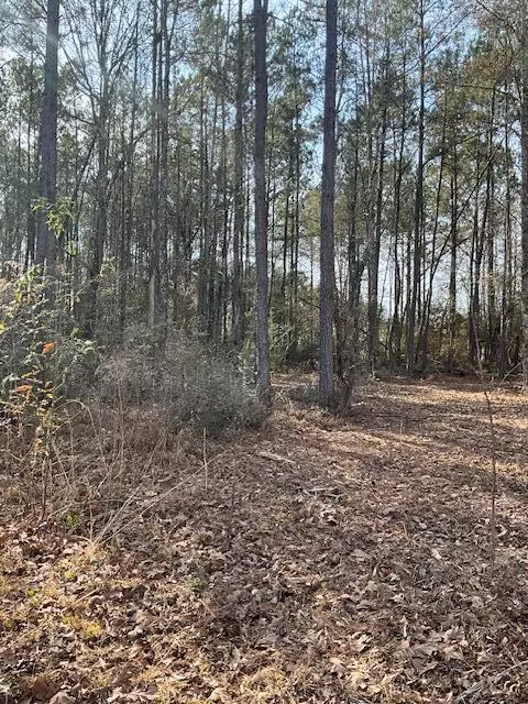 01 A Pittman Rd, Sandy Hook, MS 39478 photo 9