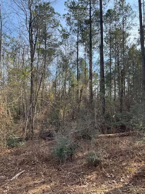 01 A Pittman Rd, Sandy Hook, MS 39478 photo 12