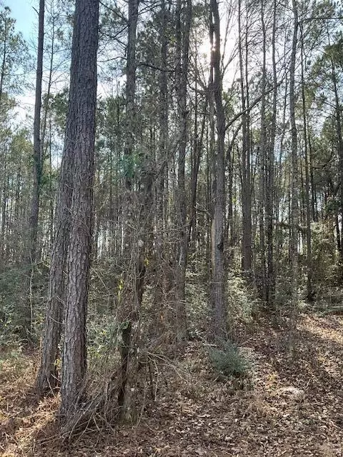 01 A Pittman Rd, Sandy Hook, MS 39478 photo 11