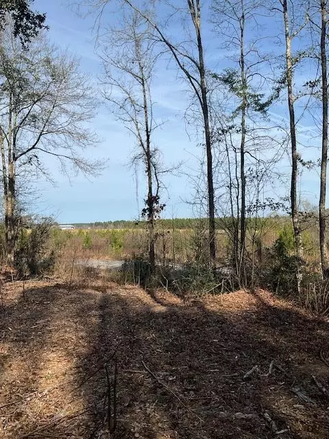 01 A Pittman Rd, Sandy Hook, MS 39478 photo 3