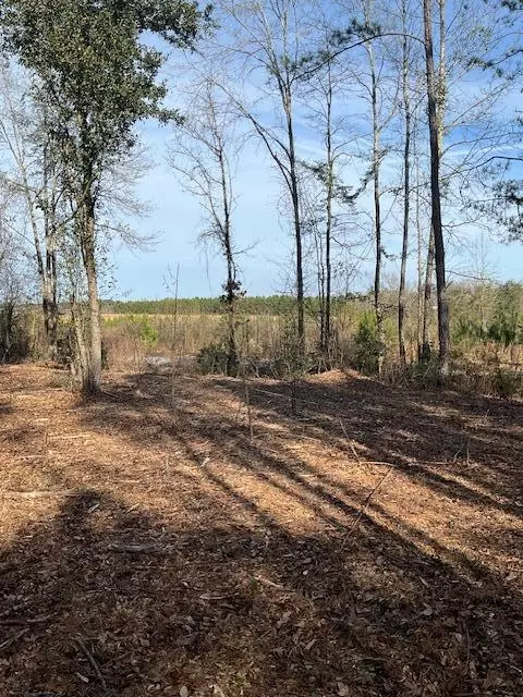 01 A Pittman Rd, Sandy Hook, MS 39478 photo 13