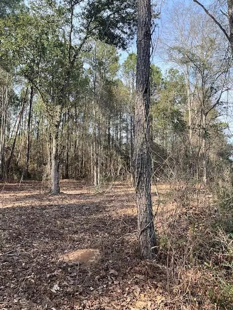 01 A Pittman Rd, Sandy Hook, MS 39478 photo 6