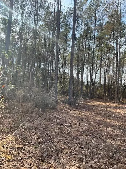01 A Pittman Rd, Sandy Hook, MS 39478 photo 7