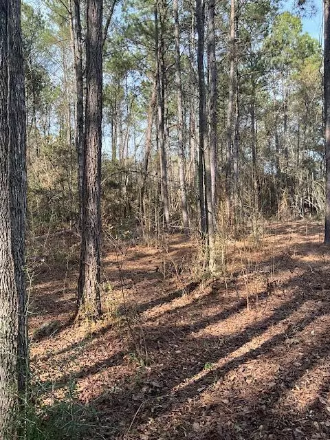 01 A Pittman Rd, Sandy Hook, MS 39478 photo 14