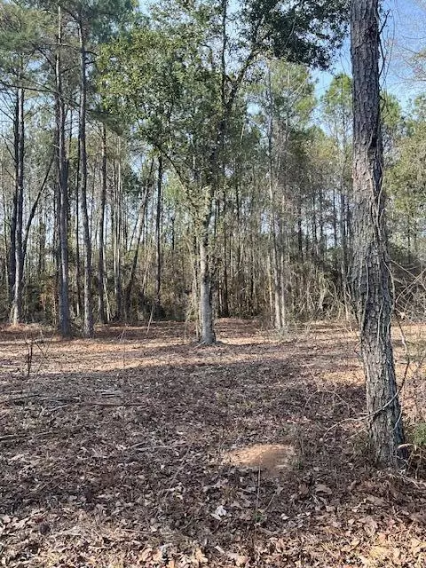 01 A Pittman Rd, Sandy Hook, MS 39478 photo 4