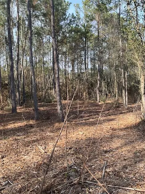 01 A Pittman Rd, Sandy Hook, MS 39478 photo 10