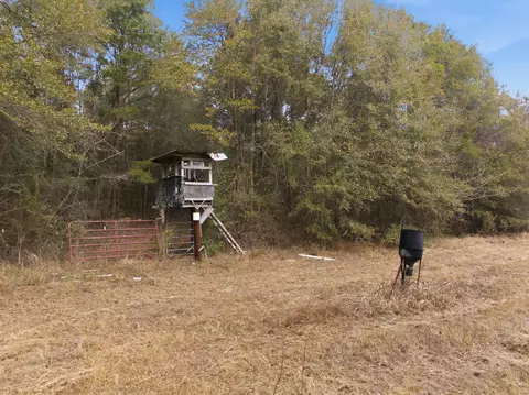Exterior - 2133 Salem Campground Rd, Lucedale, MS 39452 photo 16 of 17